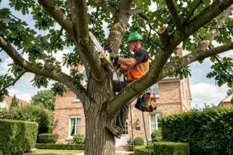 Élagueur professionnel en hauteur dans un arbre dans un jardin résidentiel à Cugnaux