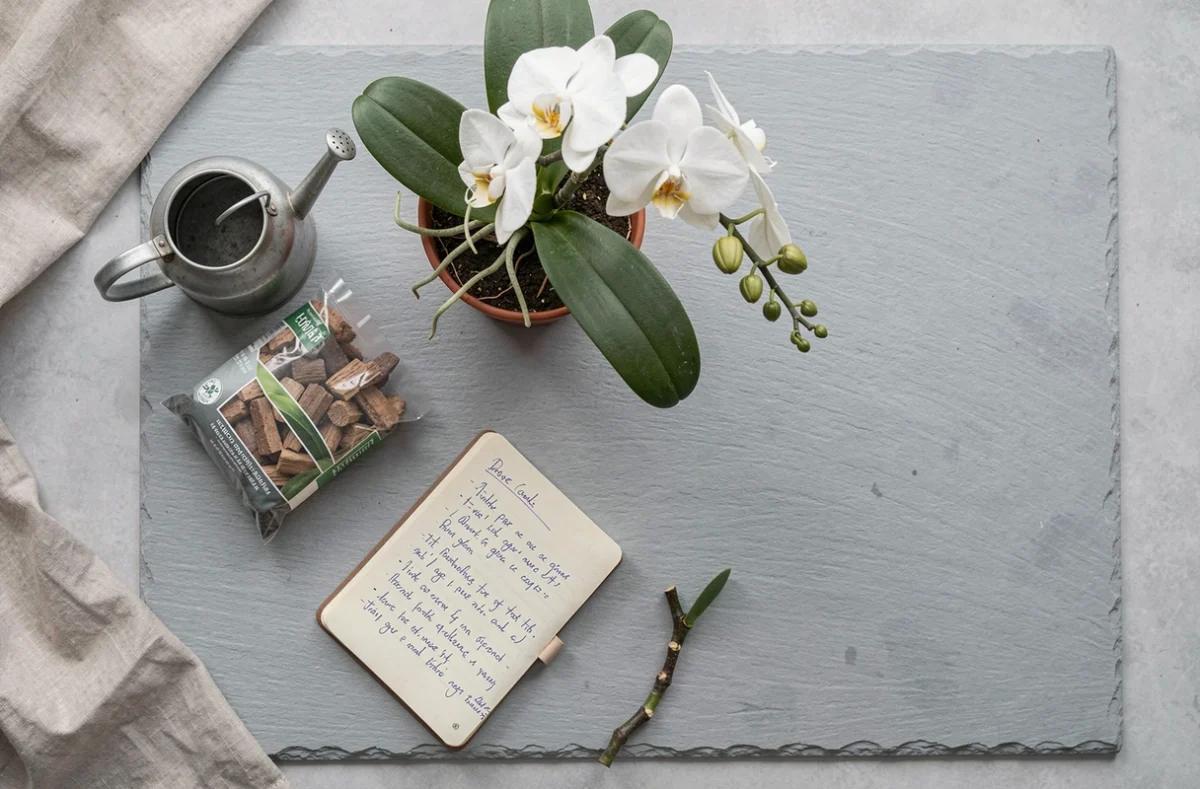 Vue de dessus d'un kit d'entretien d'orchidée avec pot, outils de taille, substrat et carnet de soins sur ardoise grise